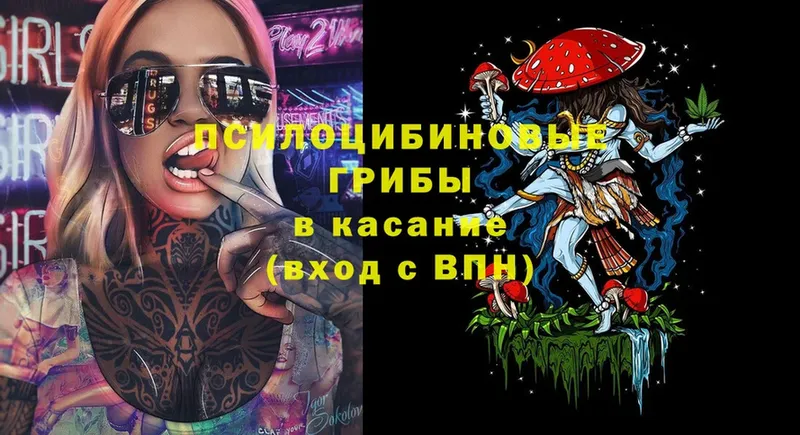 Галлюциногенные грибы Cubensis  цена   Геленджик 